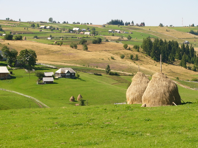 2006-08-19 13-39-57.JPG - 2006-08-U-RO>Berge von Gilau
